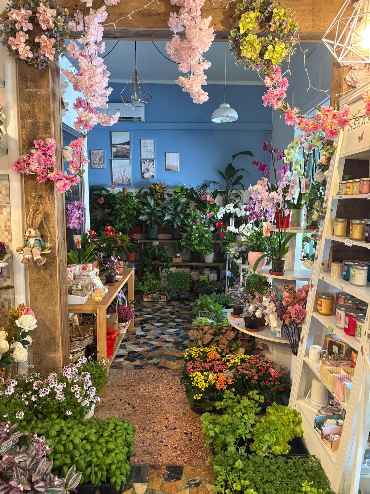 Interno del negozio I Fiori di Sara a Farini (PC)